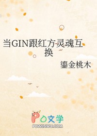 [柯南同人] 当GIN跟红方灵魂互换